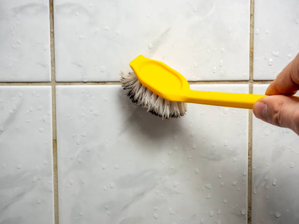 Home Mold Removal in Sparta, GA