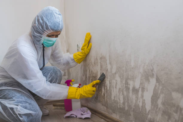 Best Professional Mold Removal  in Sparta, GA