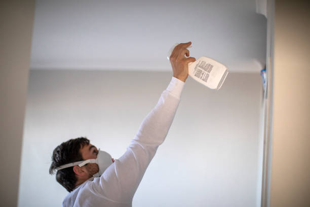 Best Mold Remediation  in Sparta, GA