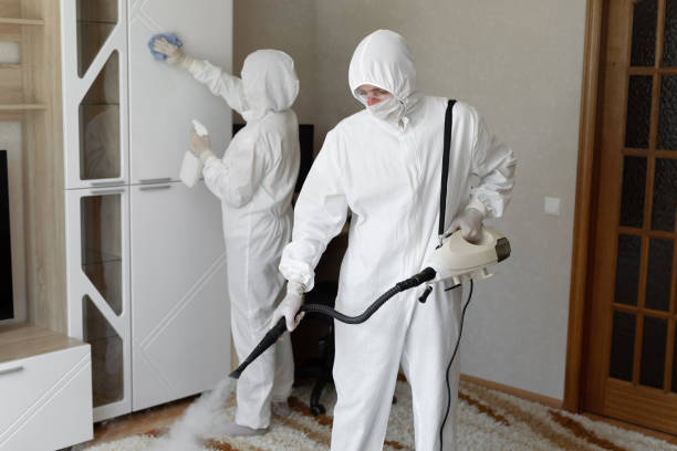 Best Mold Cleaning Services  in Sparta, GA