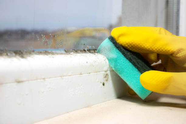 Best Residential Mold Removal  in Sparta, GA