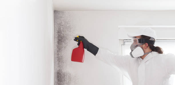 Best Mold Damage Repair  in Sparta, GA