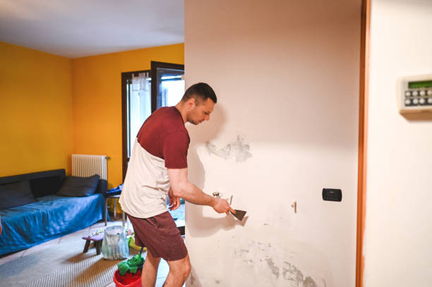 Best Same-Day Mold Removal  in Sparta, GA