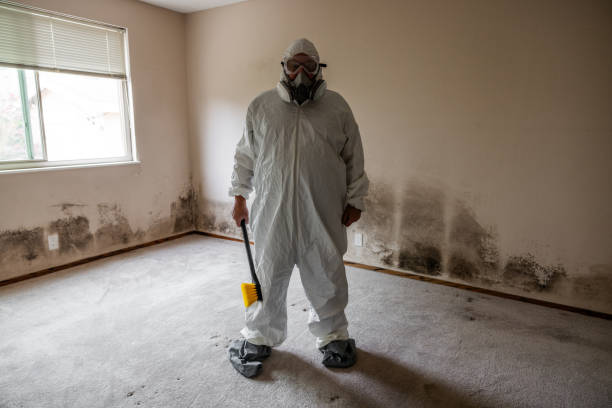 Best Toxic Mold Removal  in Sparta, GA