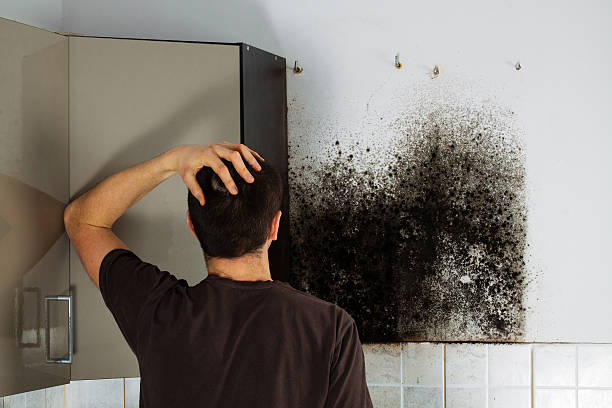 Best Crawl Space Mold Removal  in Sparta, GA
