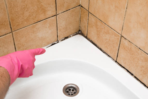 Best Mold Damage Repair  in Sparta, GA